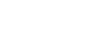 Flynn&Co Logo white